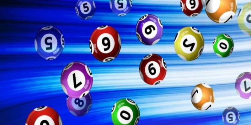 Bí quyết nuôi khung lô câm tối đa 3 ngày