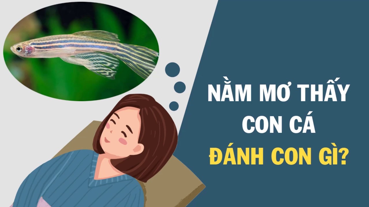 Chiêm bao gặp cá chép nên đánh con số nào?