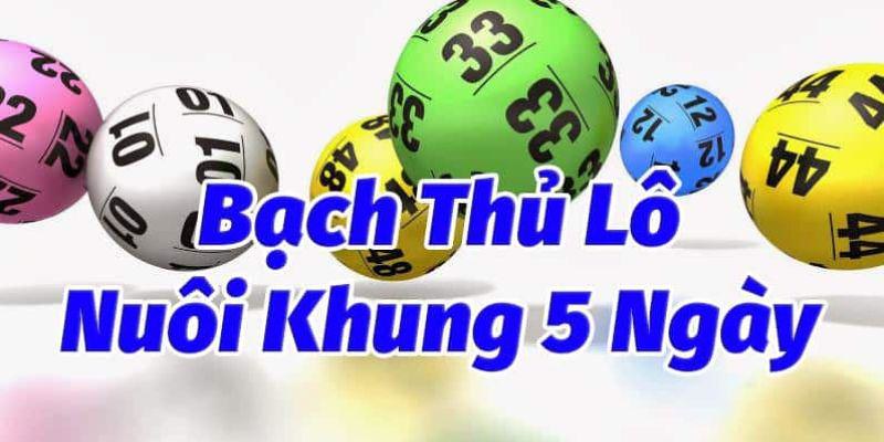 Hiểu khái niệm về bạch thủ lô khung 5 ngày