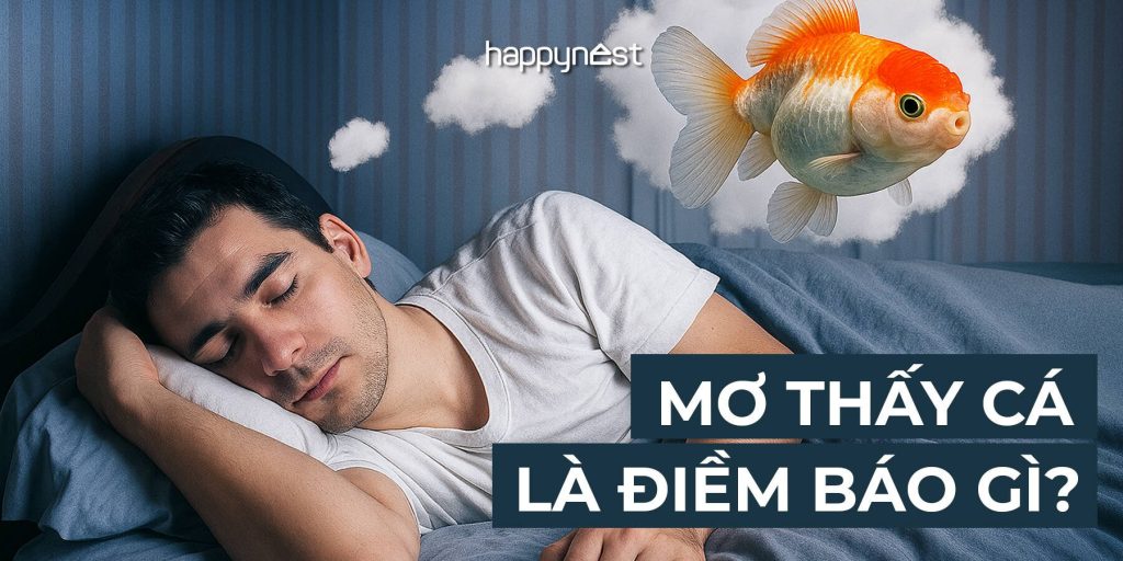 Mơ Thấy Cá Chép Báo Hiệu Cho Điều Gì Đánh Số Mấy