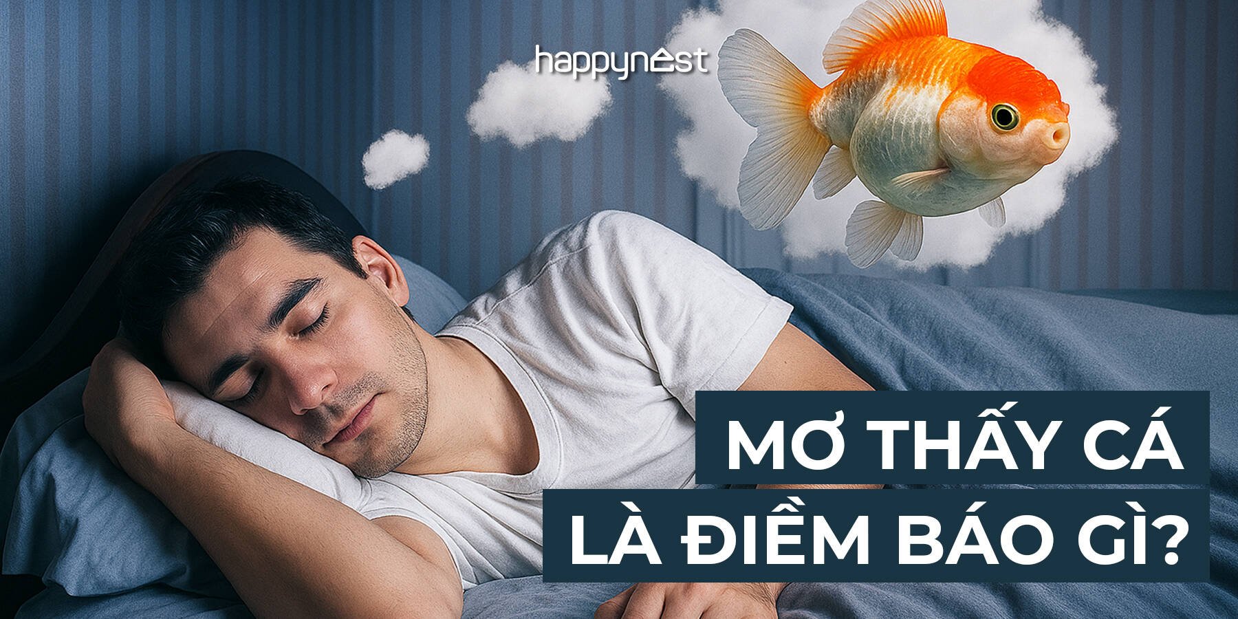 Mơ Thấy Cá Chép Báo Hiệu Cho Điều Gì Đánh Số Mấy