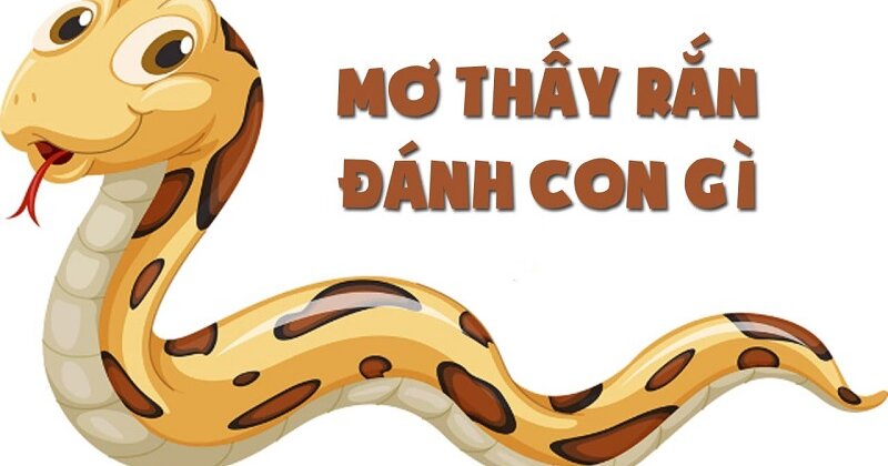 Mơ thấy rắn đánh con số nào?