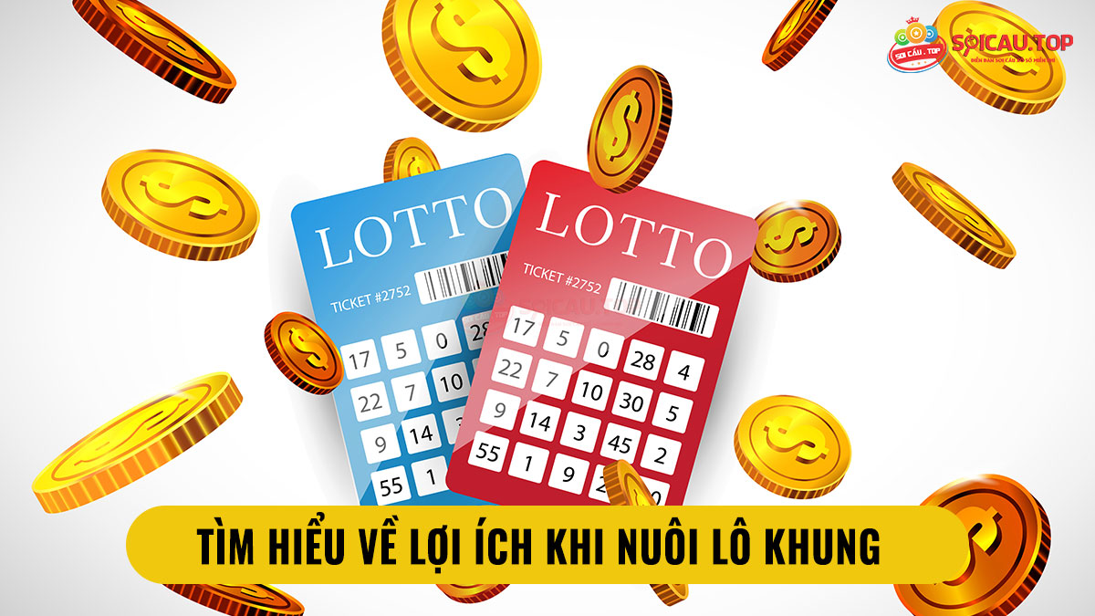 Nuôi Lô Khung Là Gì Kinh Nghiệm Bắt Số Chuẩn Xác 100%