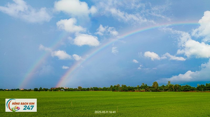 Mơ thấy cầu vồng - Tâm lý học giấc ngủ nhìn giấc mơ này ra sao Mơ thấy cầu vồng - Tâm lý học giấc ngủ nhìn giấc mơ này ra sao