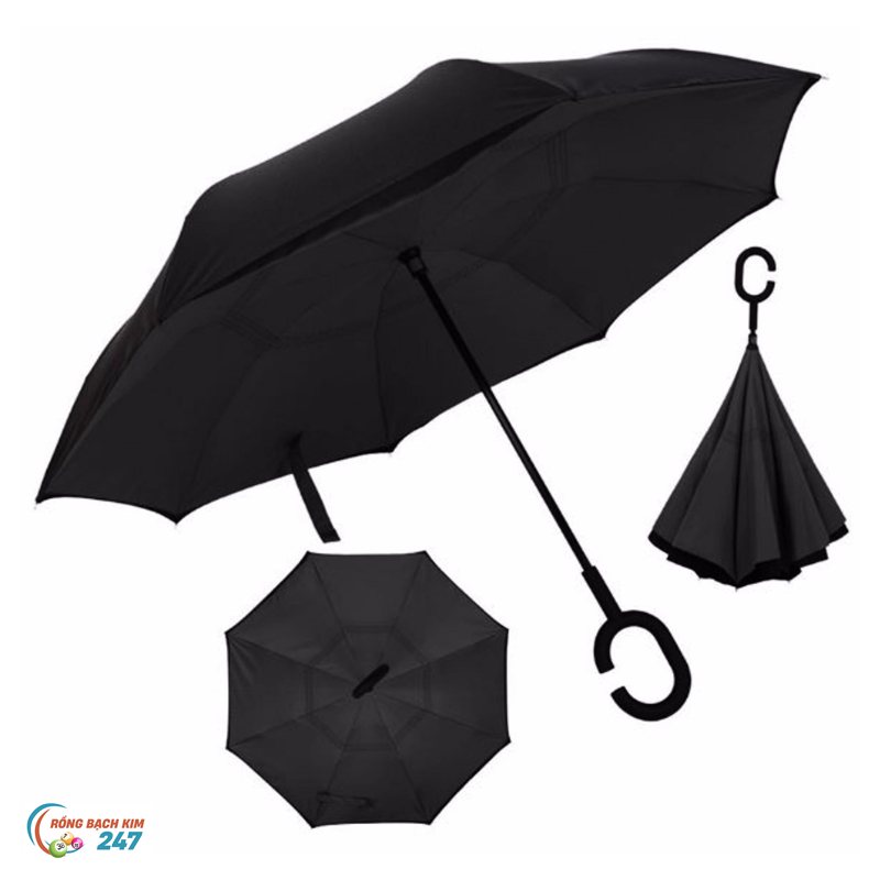 Mơ thấy cua - Cảm giác cơ thể lúc ngủ và giai đoạn mơ Mơ thấy cua - Cảm giác cơ thể lúc ngủ và giai đoạn mơ