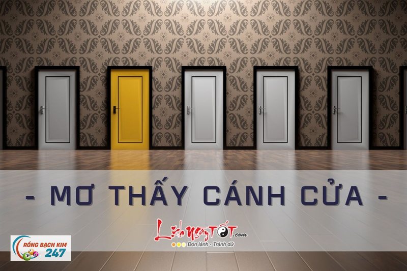 Mơ thấy cua - Các biến thể khi mơ thấy cua và cách hiểu thường gặp Mơ thấy cua - Các biến thể khi mơ thấy cua và cách hiểu thường gặp