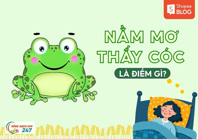 Mơ thấy ếch - Con vật của bờ ruộng và mùa vụ Mơ thấy ếch - Con vật của bờ ruộng và mùa vụ