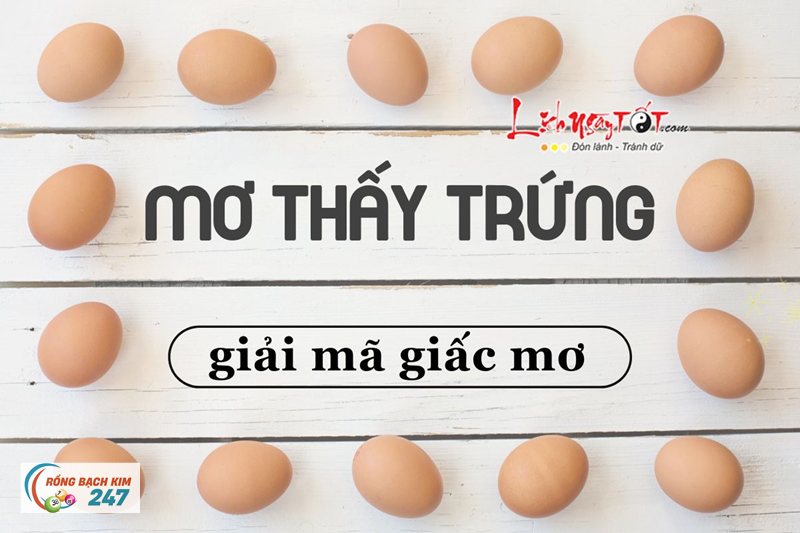 Mơ thấy gà - Con vật đi vào trí nhớ từ rất sớm Mơ thấy gà - Con vật đi vào trí nhớ từ rất sớm