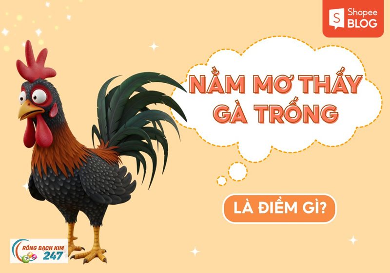 Mơ thấy gà - Các biến thể khi mơ thấy gà và cách hiểu thường gặp Mơ thấy gà - Các biến thể khi mơ thấy gà và cách hiểu thường gặp