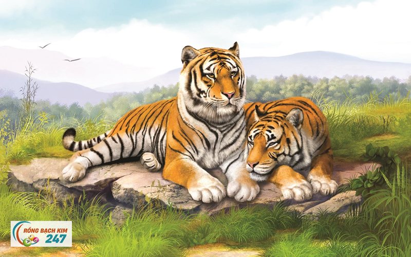 Mơ thấy hổ - Tiếng Việt vốn đã đầy hình ảnh hổ Mơ thấy hổ - Tiếng Việt vốn đã đầy hình ảnh hổ