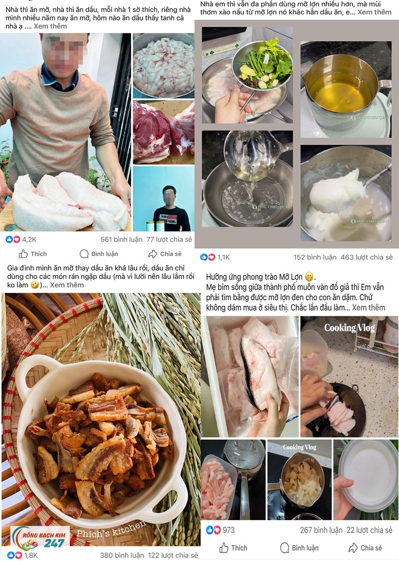 Mơ thấy lợn - Một con vật nằm sẵn trong ngôn ngữ hằng ngày Mơ thấy lợn - Một con vật nằm sẵn trong ngôn ngữ hằng ngày