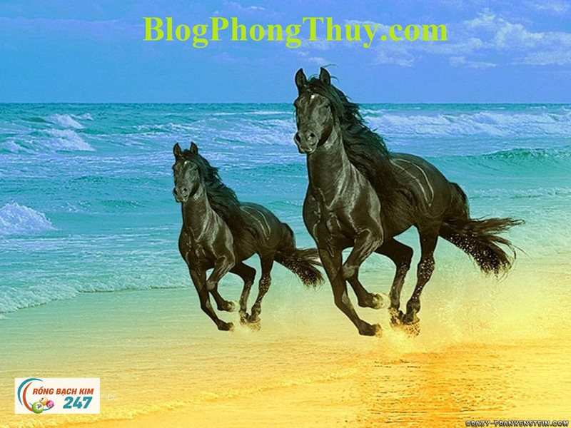 Mơ thấy ngựa - Một hình ảnh chở sẵn cảm giác chuyển động