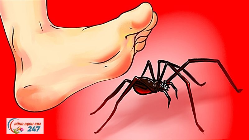 Mơ thấy nhện - Con nhện chăng tơ trong ca dao và nếp nghĩ về chờ đợi Mơ thấy nhện - Con nhện chăng tơ trong ca dao và nếp nghĩ về chờ đợi