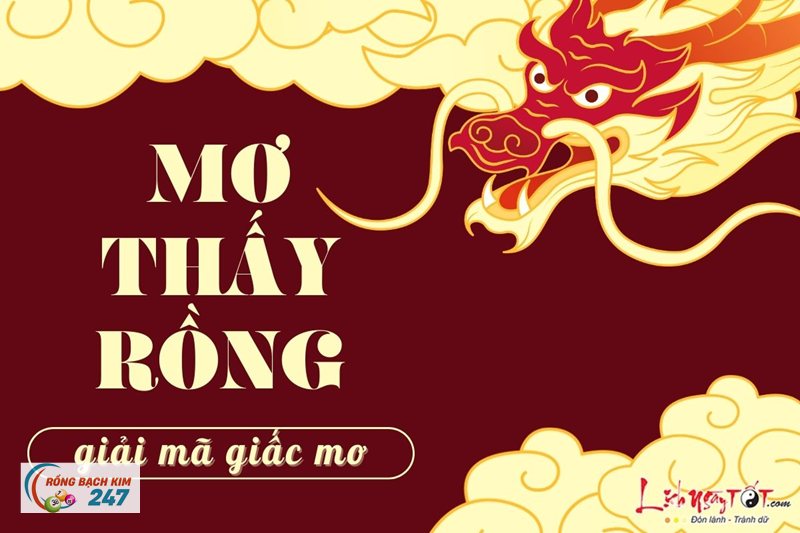 Mơ thấy rồng - Mơ thấy rồng và vị trí đặc biệt của rồng trong văn hóa Việt