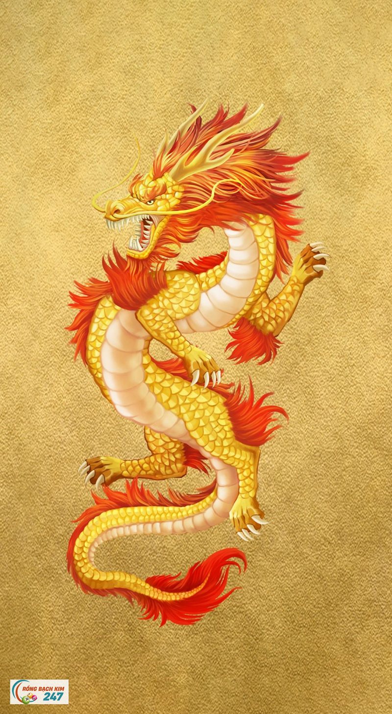Mơ thấy rồng - Rồng của vương quyền và rồng của nhà nông