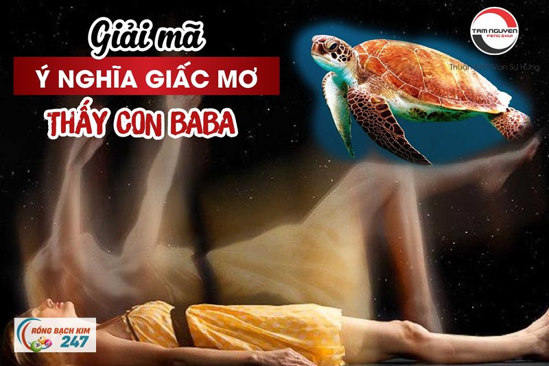 Mơ thấy rùa - Rùa đội bia Văn Miếu và ý niệm về cái bền Mơ thấy rùa - Rùa đội bia Văn Miếu và ý niệm về cái bền
