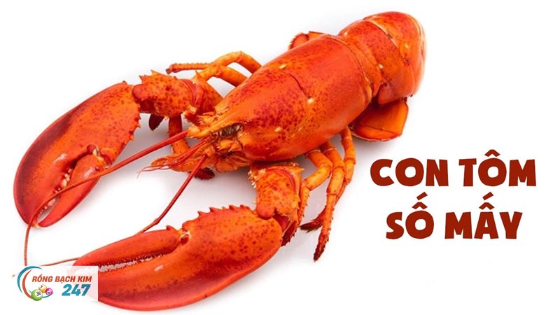 Mơ thấy tôm - Con tôm trong bữa cơm và trong lời ăn tiếng nói