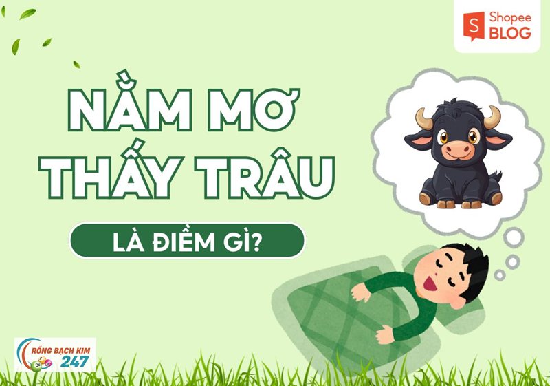 Mơ thấy trâu - Mơ thấy trâu và ký ức lao động quen thuộc