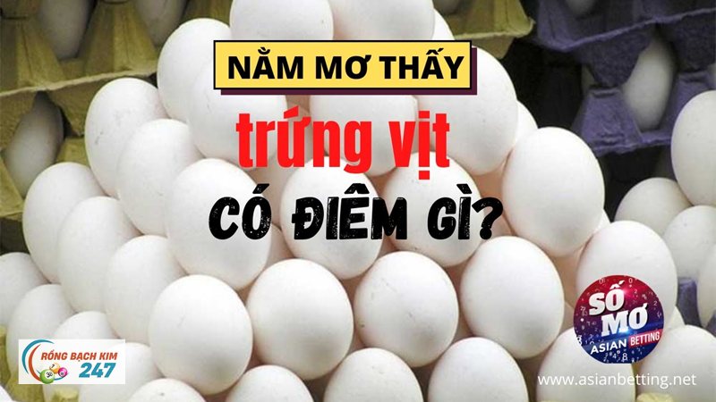 Mơ thấy vịt - Đàn vịt đồng và ký ức về sự xoay xở Mơ thấy vịt - Đàn vịt đồng và ký ức về sự xoay xở